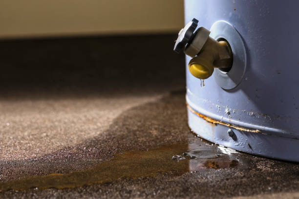 Best Water damage restoration specialists  in Princeton, WI
