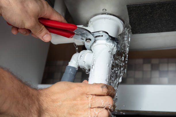 Best Flooded house restoration  in Princeton, WI