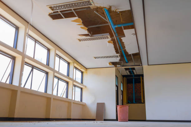 Best Sewage cleanup and water damage restoration  in Princeton, WI