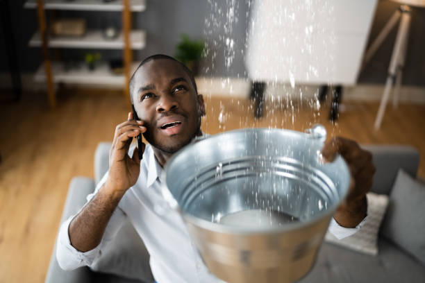 Best Local water damage restoration  in Princeton, WI