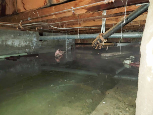 Best Emergency water damage restoration  in Princeton, WI