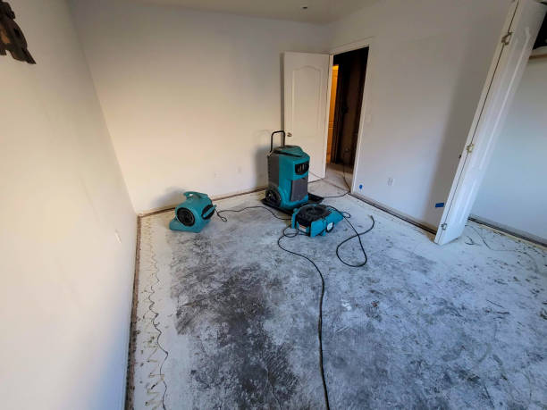 Best Ceiling water damage repair  in Princeton, WI