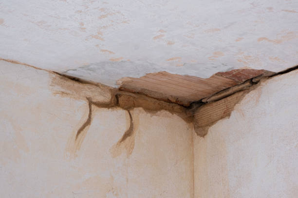 Best Water damage restoration near me  in Princeton, WI