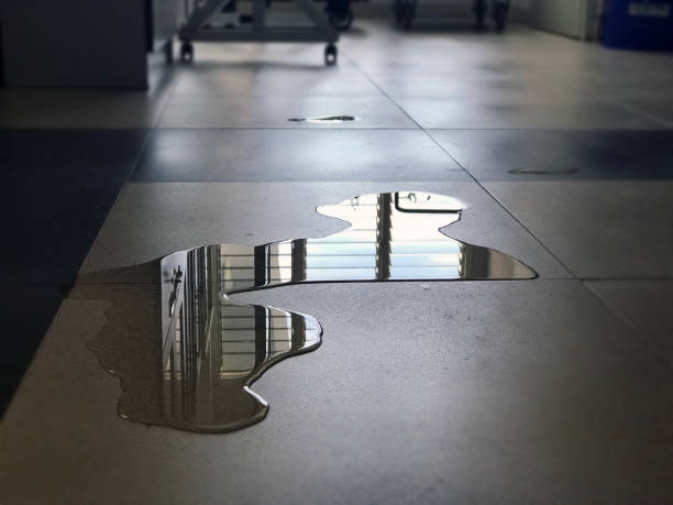 Best Water damage mitigation services  in Princeton, WI