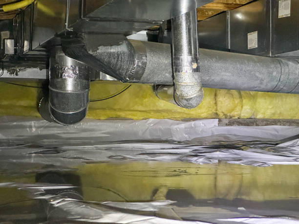 Best Carpet water damage restoration  in Princeton, WI