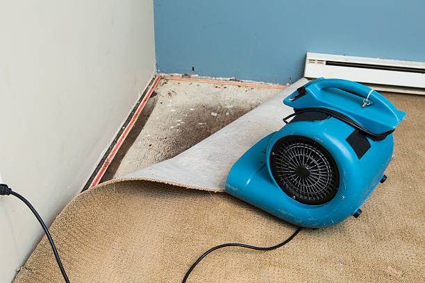 Best Flood damage cleanup  in Princeton, WI